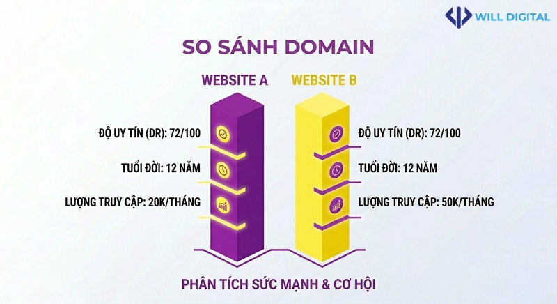 Infographic so sánh sức mạnh domain SEO với đối thủ