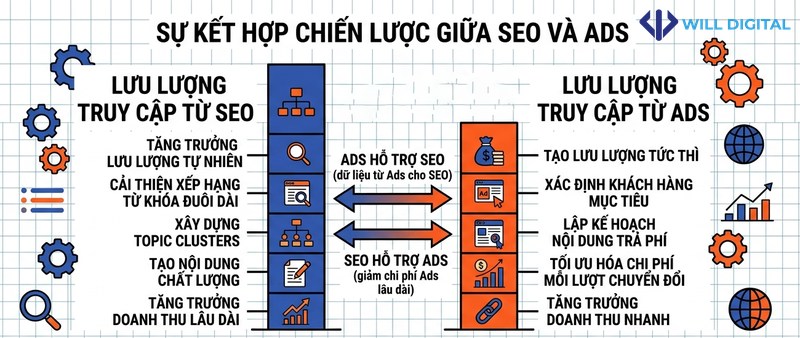 Biểu đồ so sánh lưu lượng truy cập từ SEO và Ads